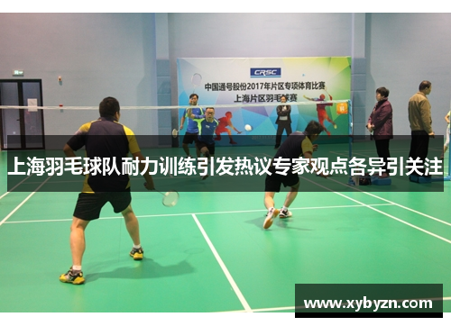 上海羽毛球队耐力训练引发热议专家观点各异引关注